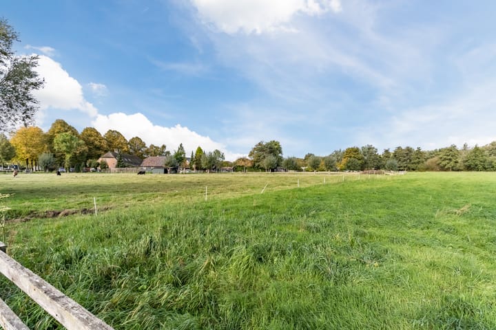 Foto 38 van Wisse 14