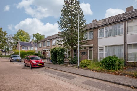 undefined main image