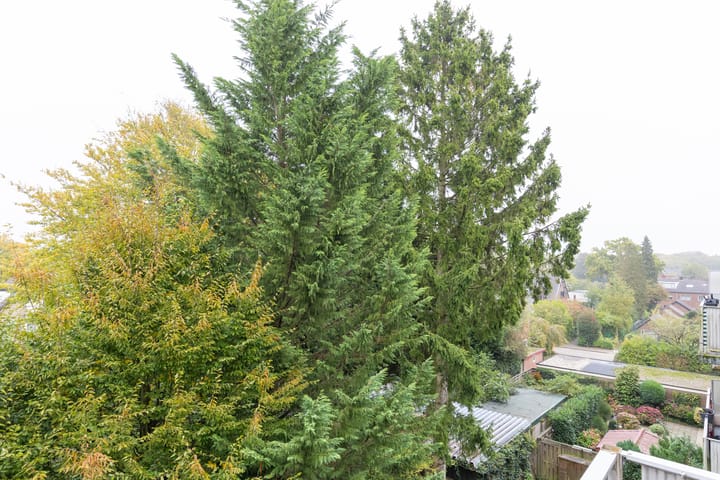 Foto 23 van Abt Ludolfweg 68