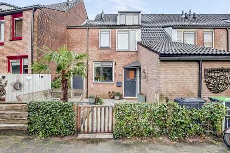 undefined main image