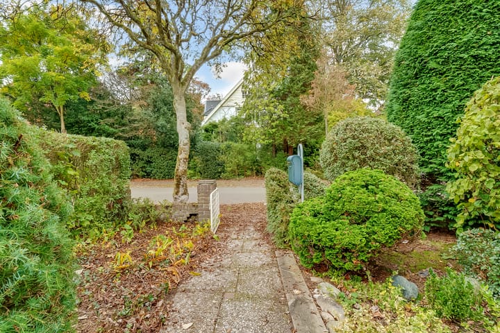 Foto 4 van Borneolaan 12