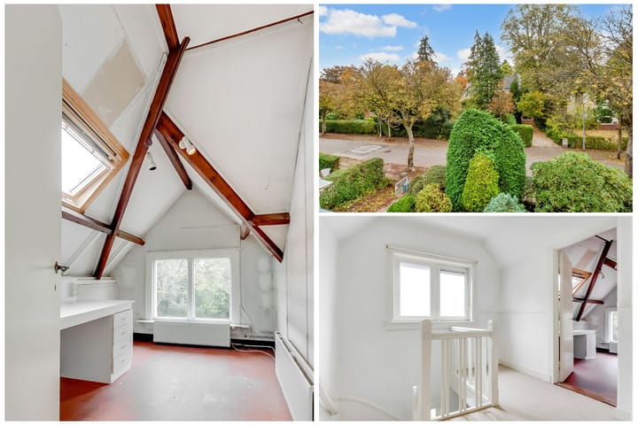 Foto 33 van Borneolaan 12