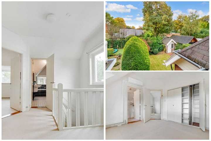 Foto 35 van Borneolaan 12