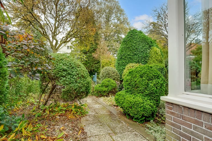 Foto 42 van Borneolaan 12