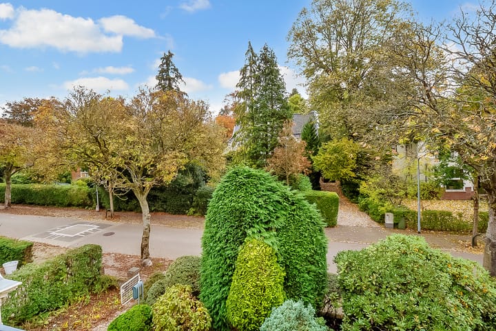 Foto 44 van Borneolaan 12