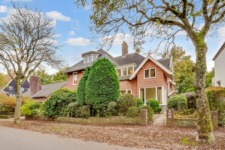 Foto 45 van Borneolaan 12