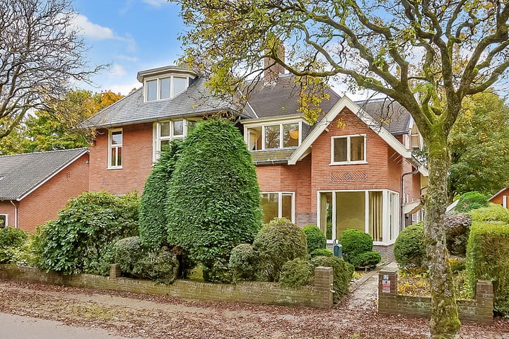 Foto 47 van Borneolaan 12