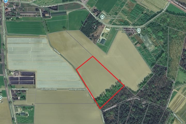 Helmeer nabij Krekelkamp, Wanssum