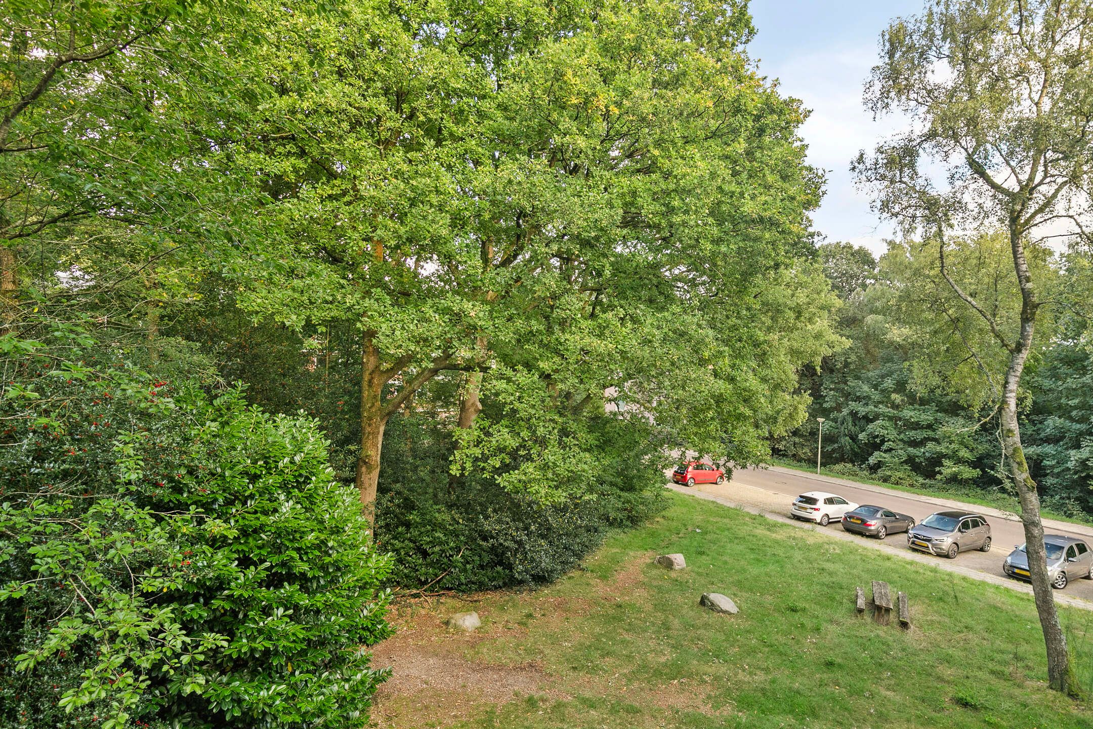 Foto 30 van Surinamelaan 99-C