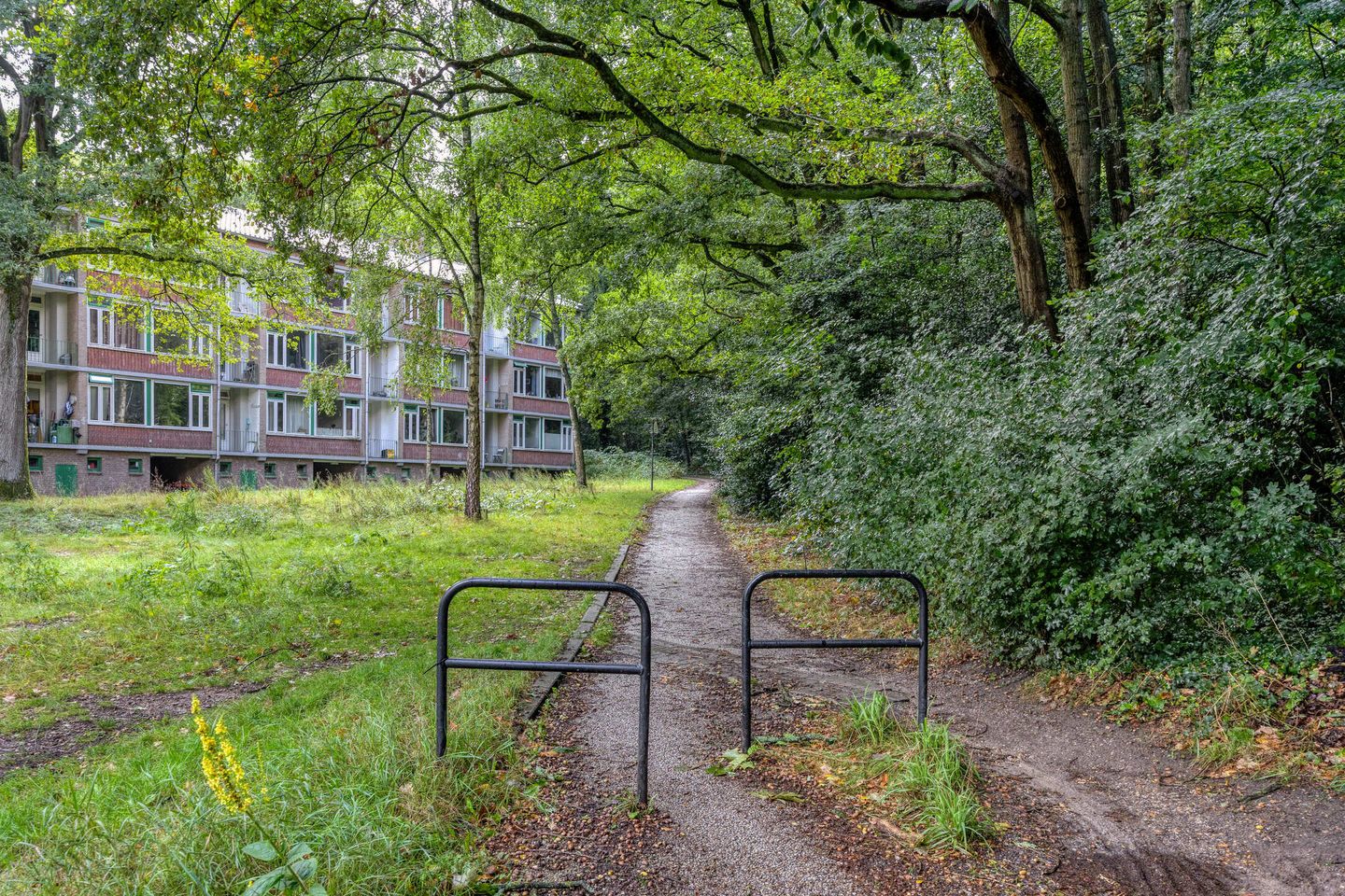 Foto 29 van Surinamelaan 99-C