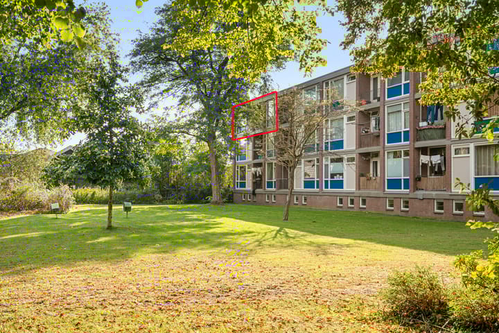 Foto 5 van De Zoom 36