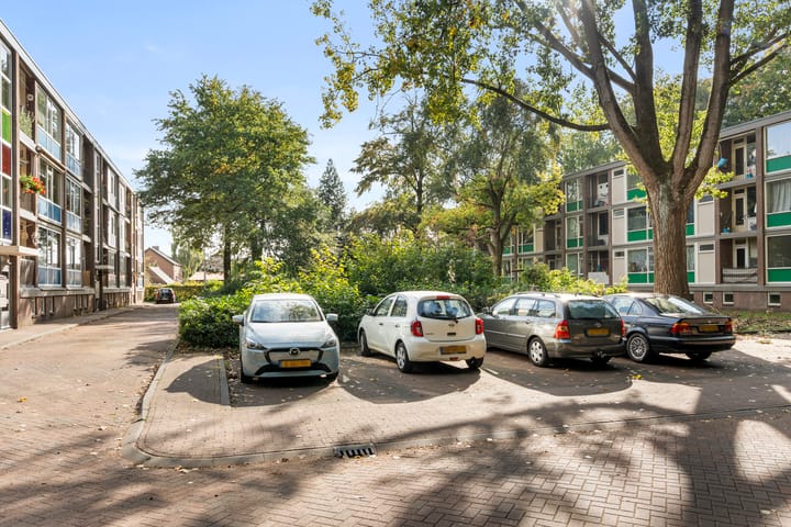 Foto 10 van De Zoom 36