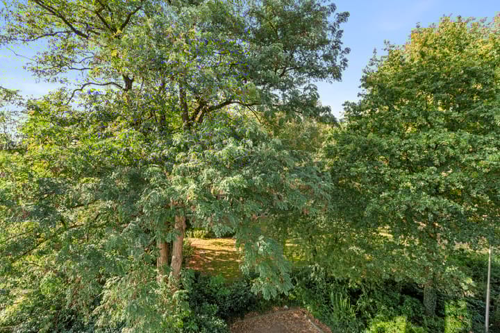 Foto 12 van De Zoom 36