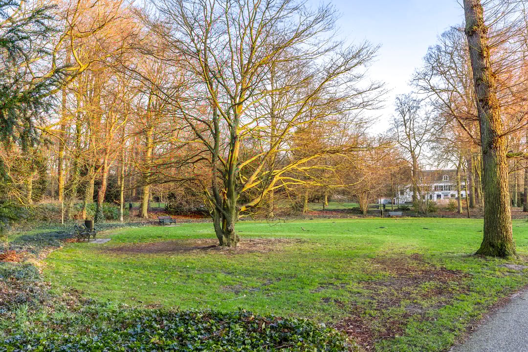 Foto 26 van Blekerssingel 75