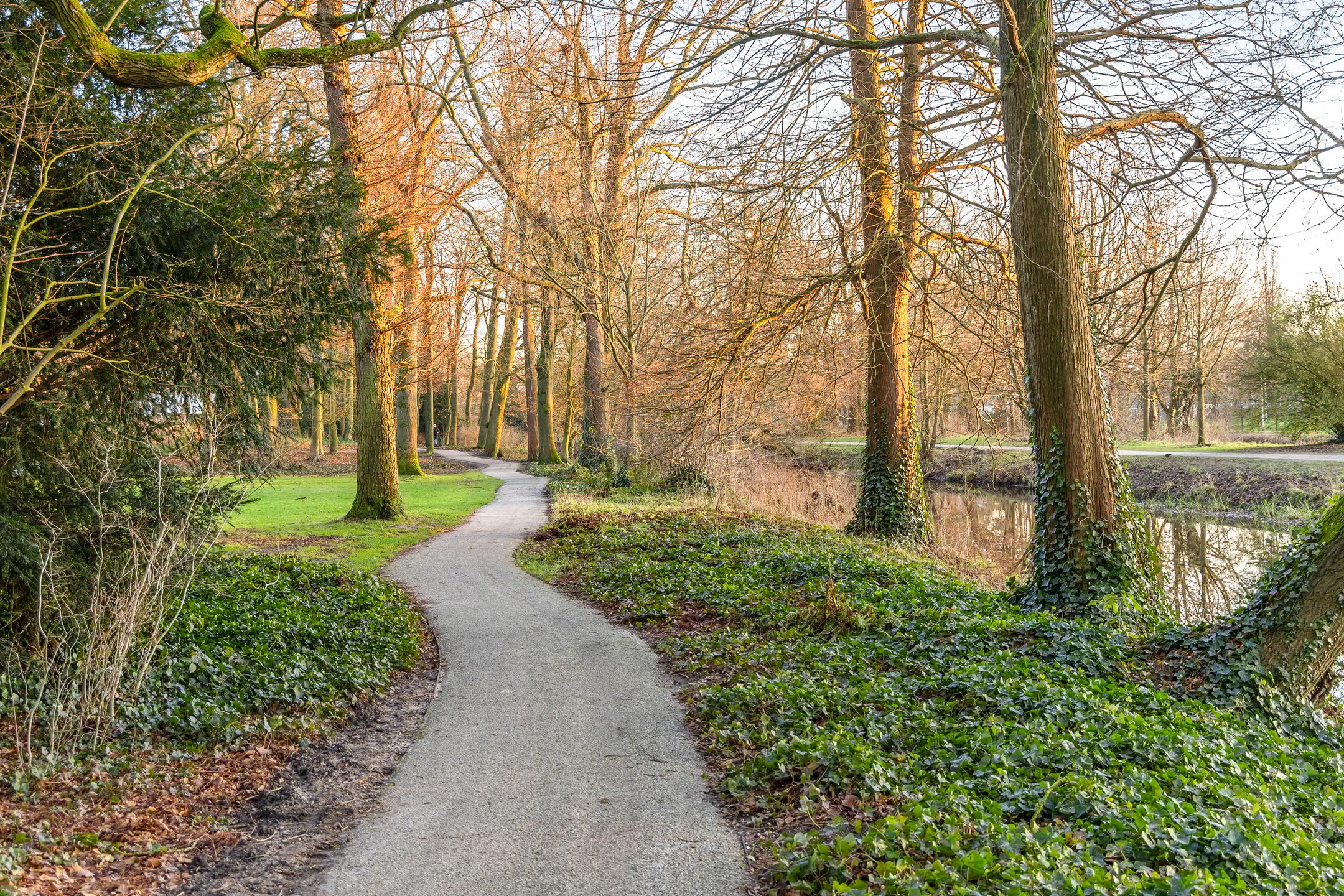 Foto 27 van Blekerssingel 75