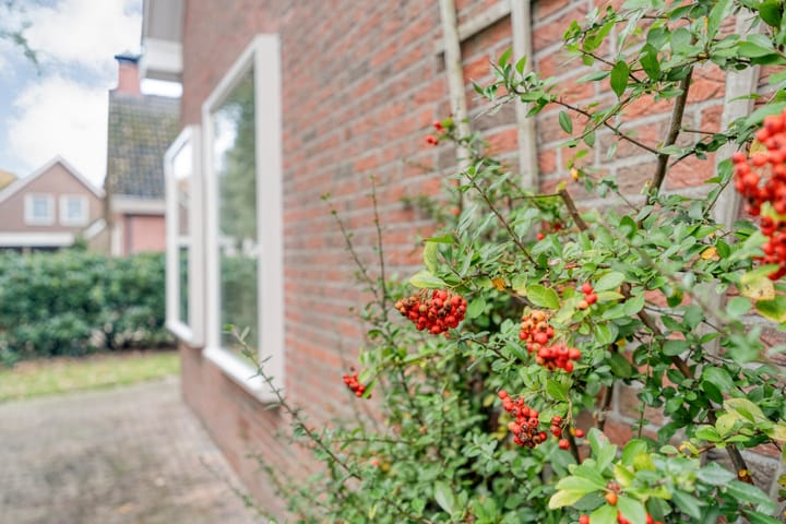 Photo 9 of Oostopgaande 15