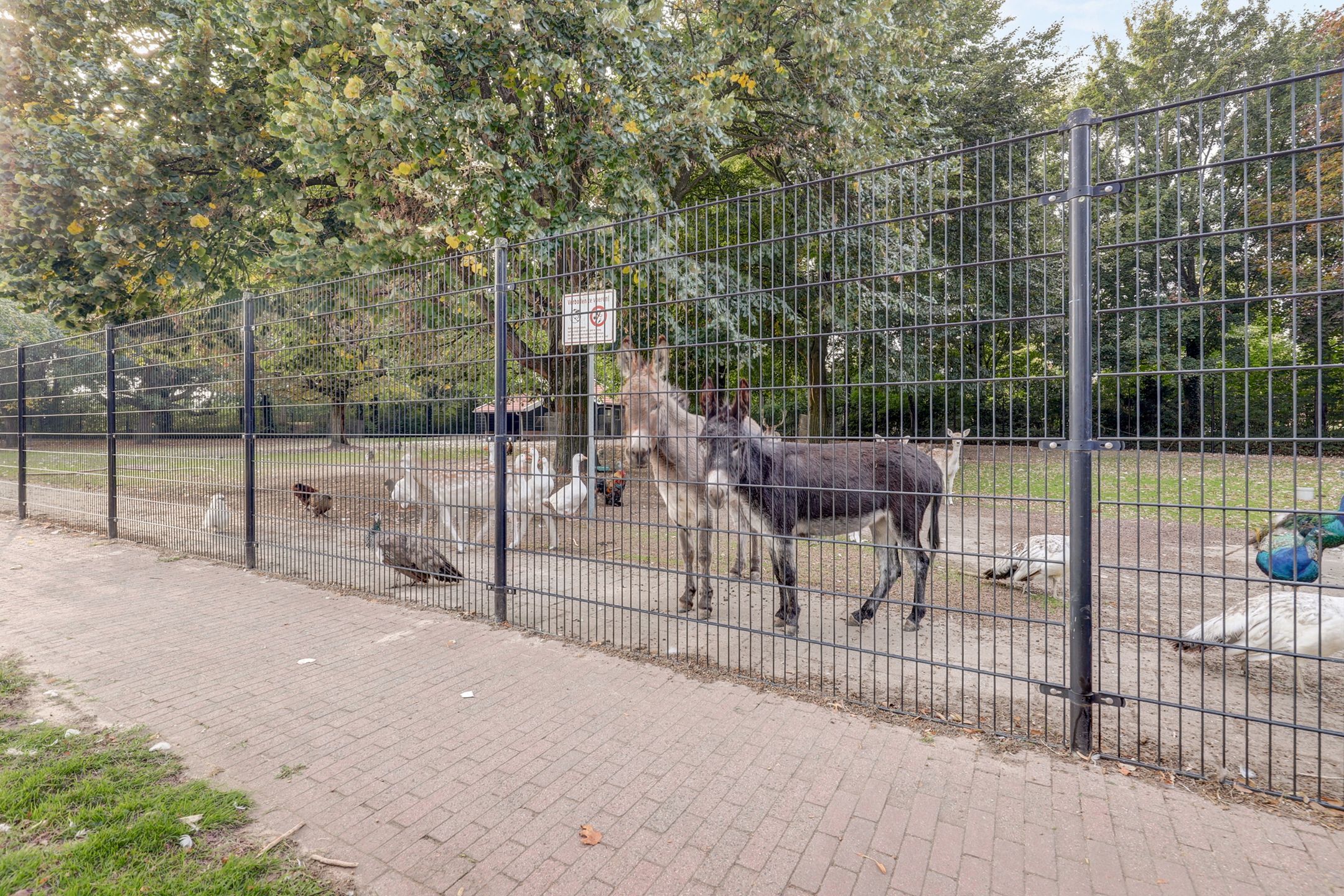 Foto 75 van Zandkampen 11