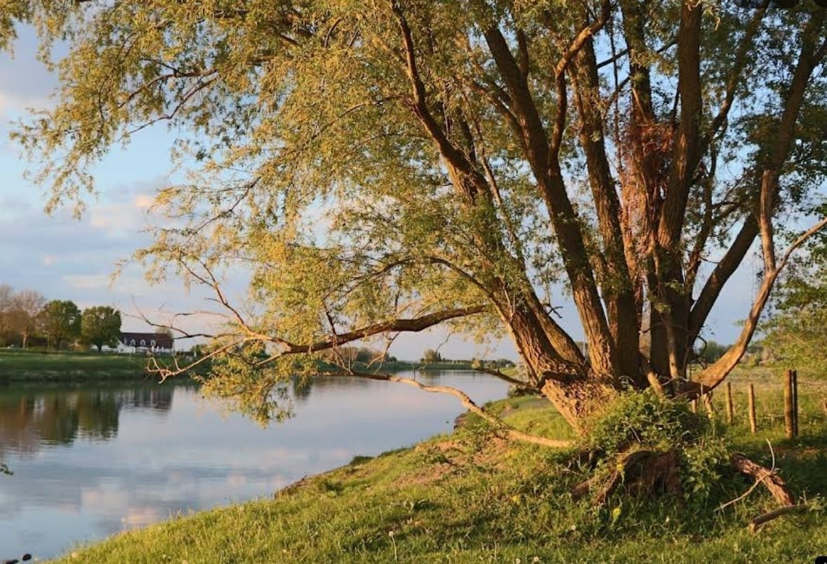 Foto 69 van Graaf de Hompeschstraat 2