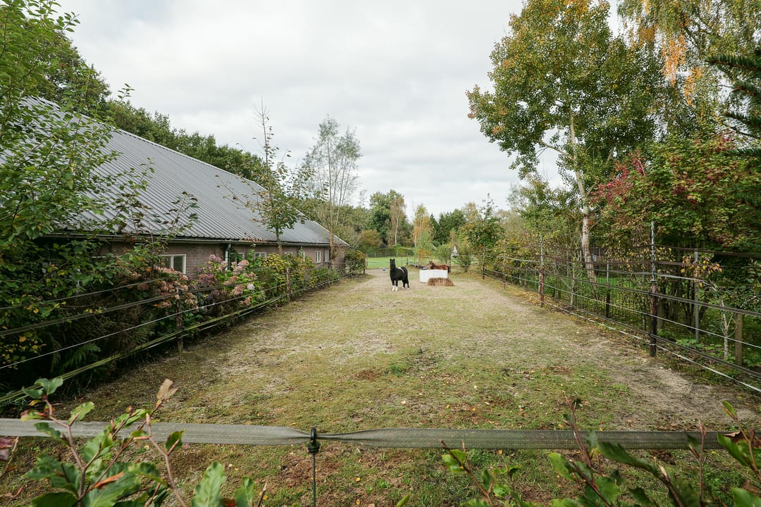 Foto 38 van Hoofdstraat 16