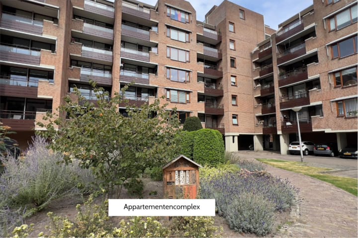 Foto 12 van Oltmansstraat 36