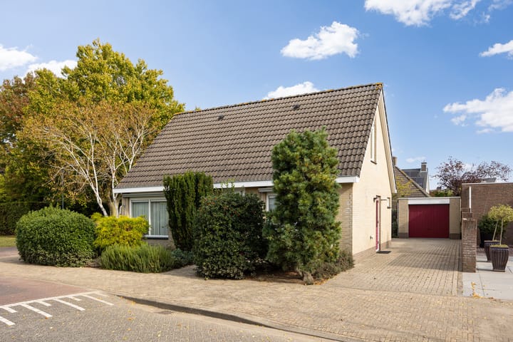 Foto 48 van De Kruisboog 16