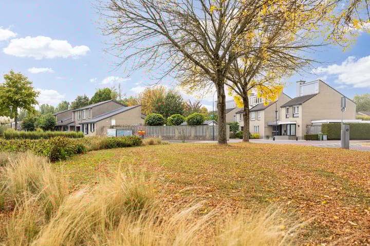 Foto 55 van De Kruisboog 16