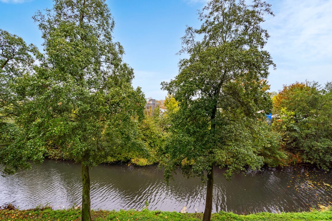 Foto 28 van Lijsterbesstraat 222