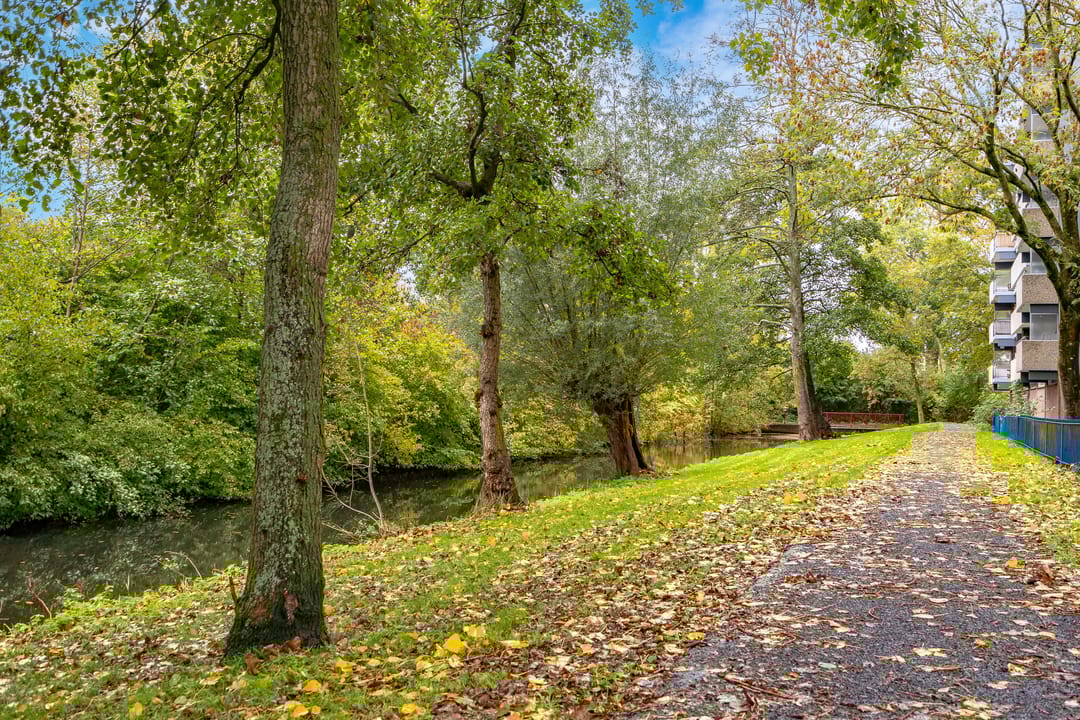 Foto 41 van Lijsterbesstraat 222