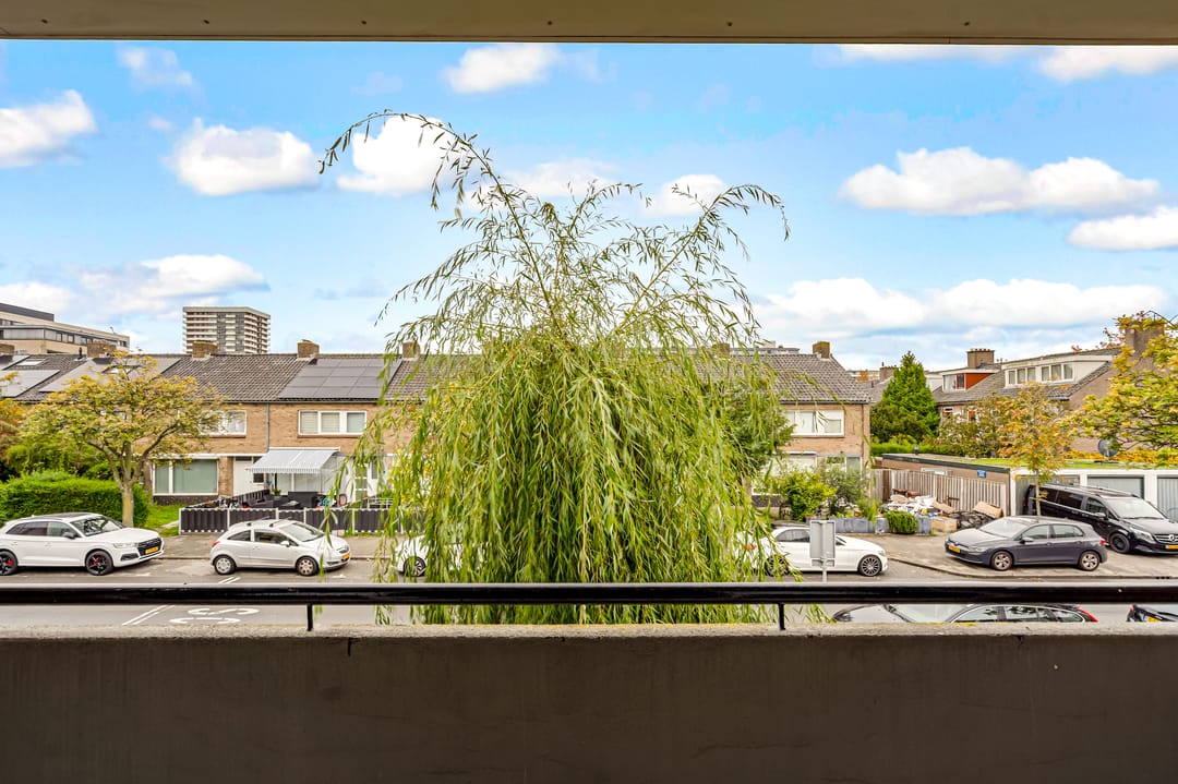 Foto 37 van Trumanlaan 281