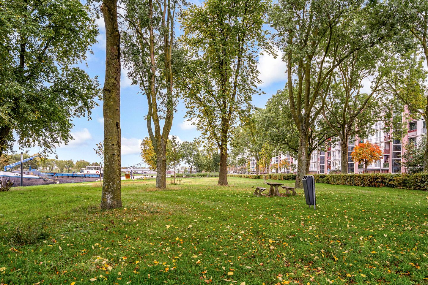 Foto 59 van Trumanlaan 281