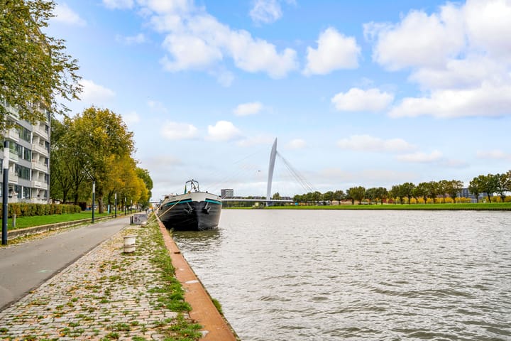 Foto 60 van Trumanlaan 281