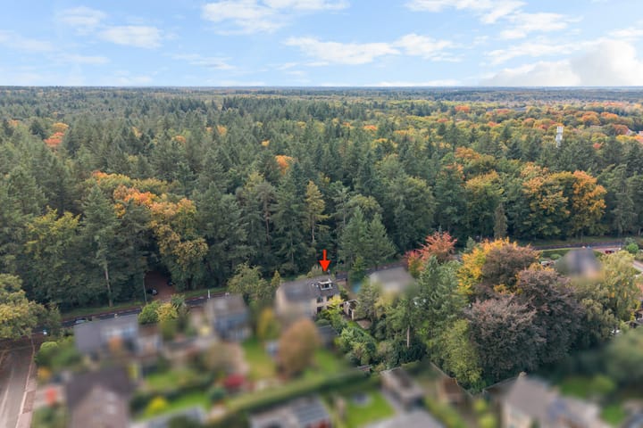 Photo 45 of Ericalaan 15