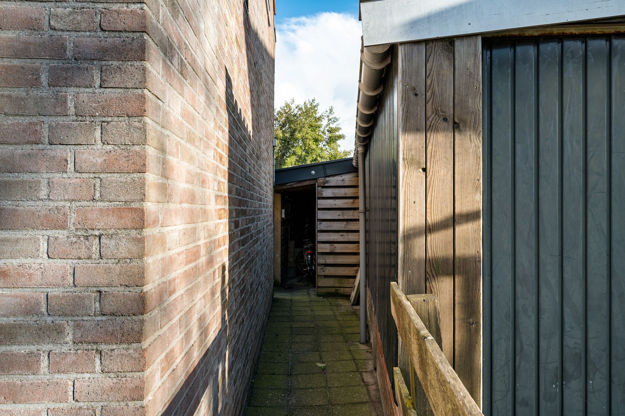 Foto 42 van Lytse Buorren 25