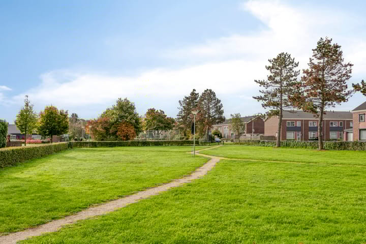 Foto 26 van Homberg 2519-K