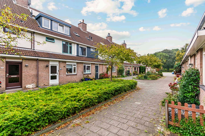 Foto 23 van Mandenvlechter 79