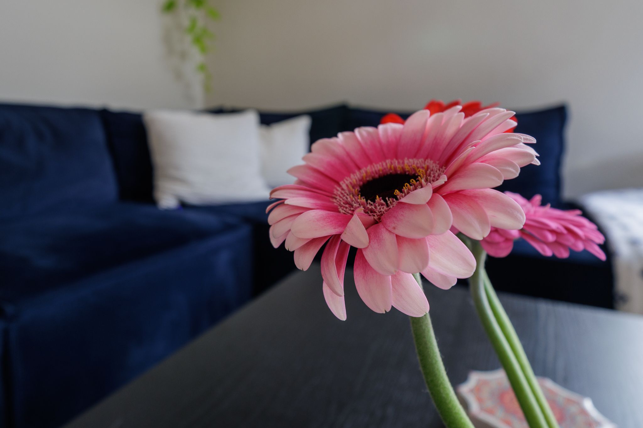 Foto 15 van Knottenplat 1