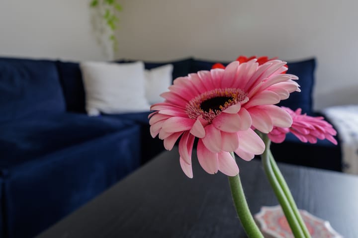 Foto 15 van Knottenplat 1