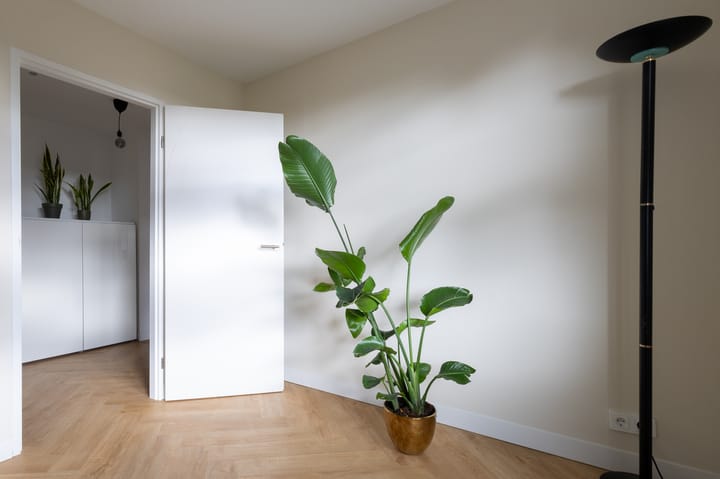 Foto 58 van Knottenplat 1