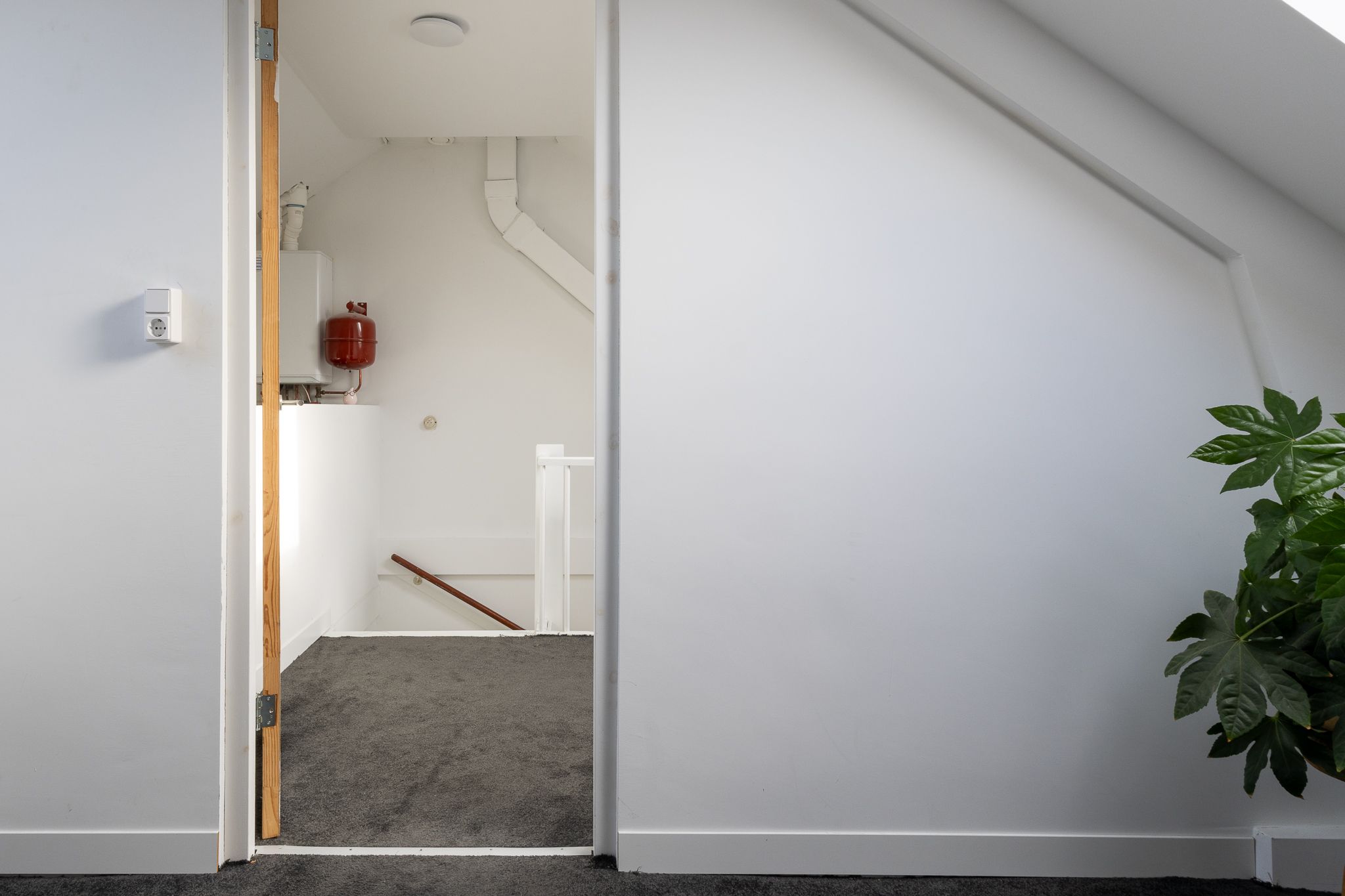 Foto 75 van Knottenplat 1