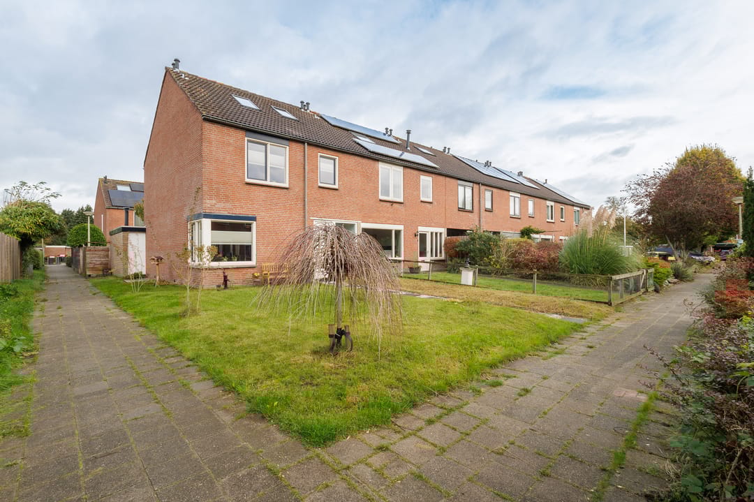 Foto 7 van Knottenplat 1