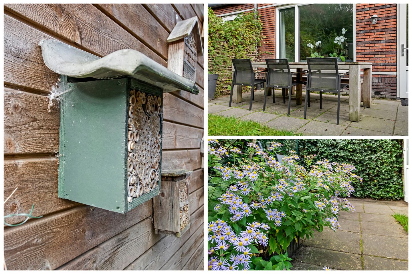 Foto 29 van Kometenlaan 16