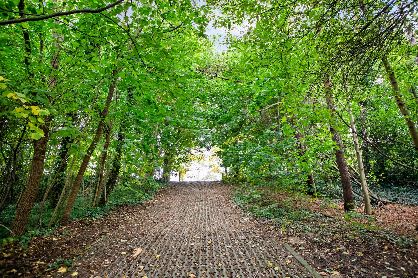 Foto 34 van Kometenlaan 16