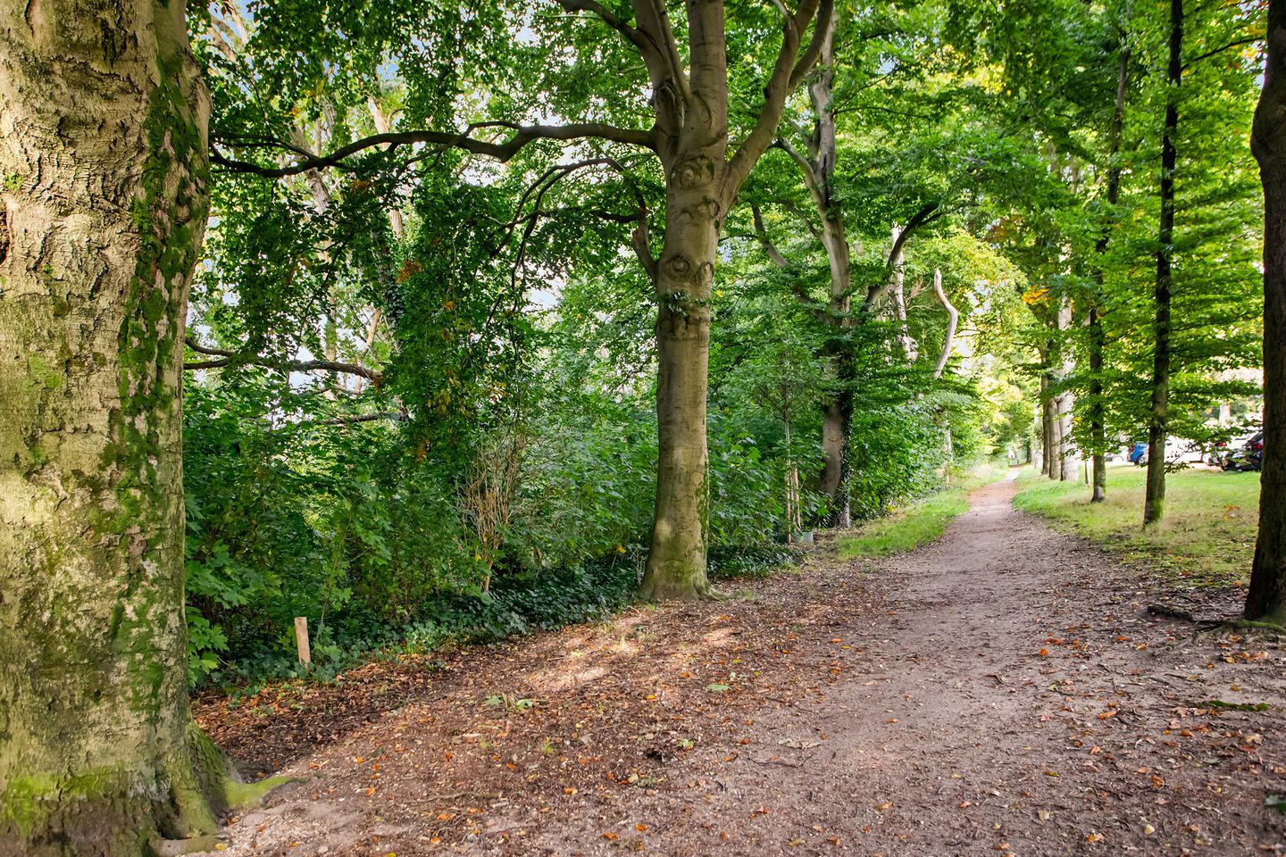 Foto 35 van Kometenlaan 16