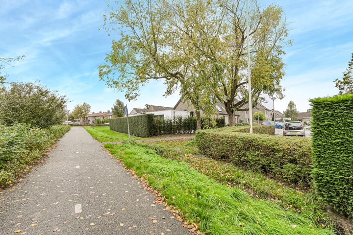 Foto 32 van Morgenstond 20