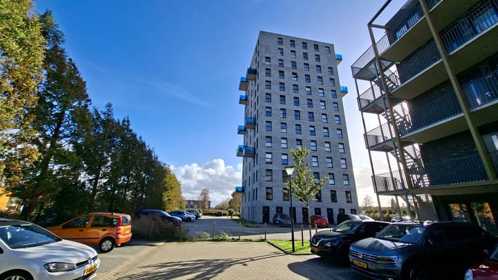 Foto 15 van Borneostraat 37