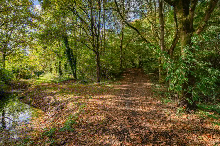 Foto 40 van Leemveld 36