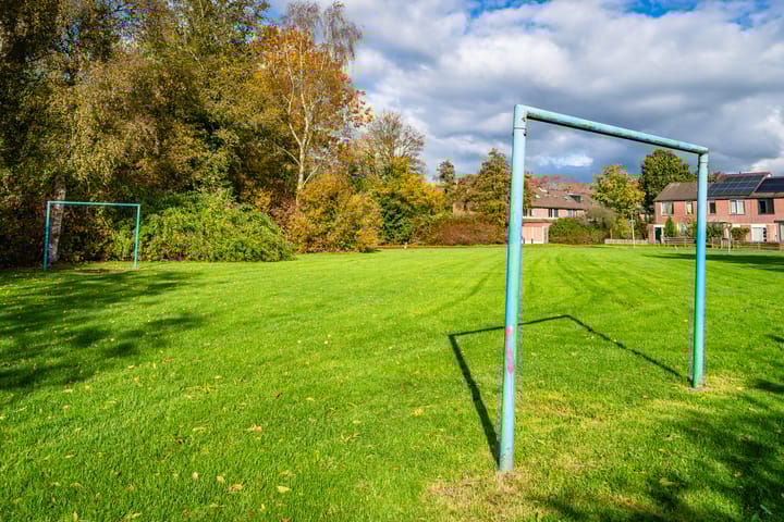 Foto 43 van Leemveld 36