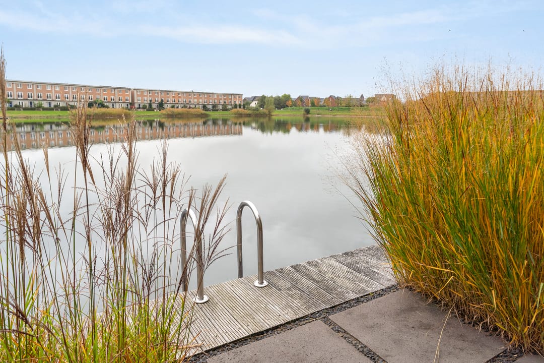 Photo 22 of Rendiermos 6