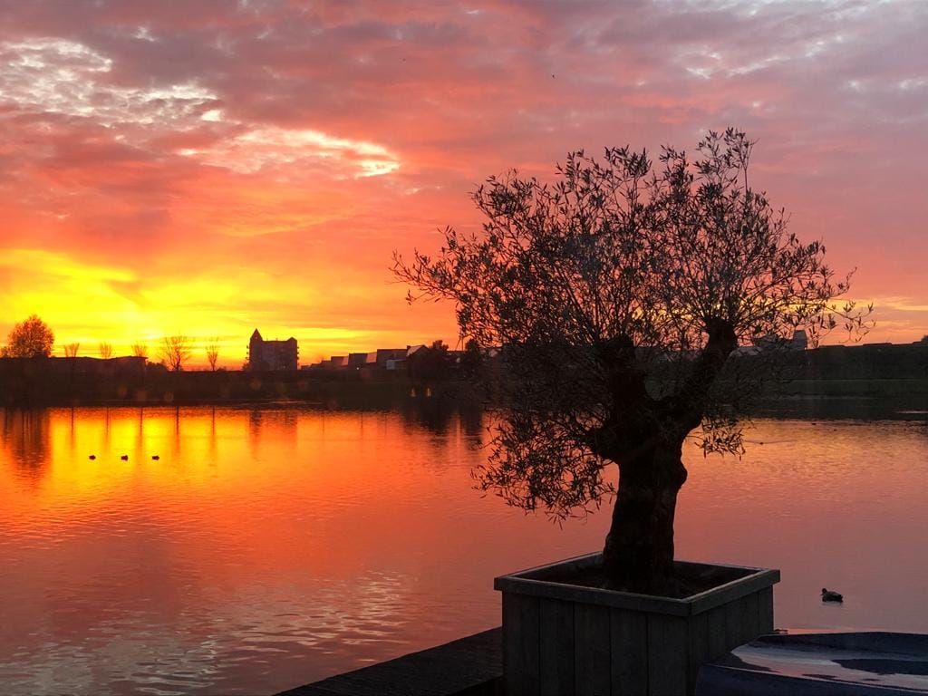 Photo 49 of Rendiermos 6