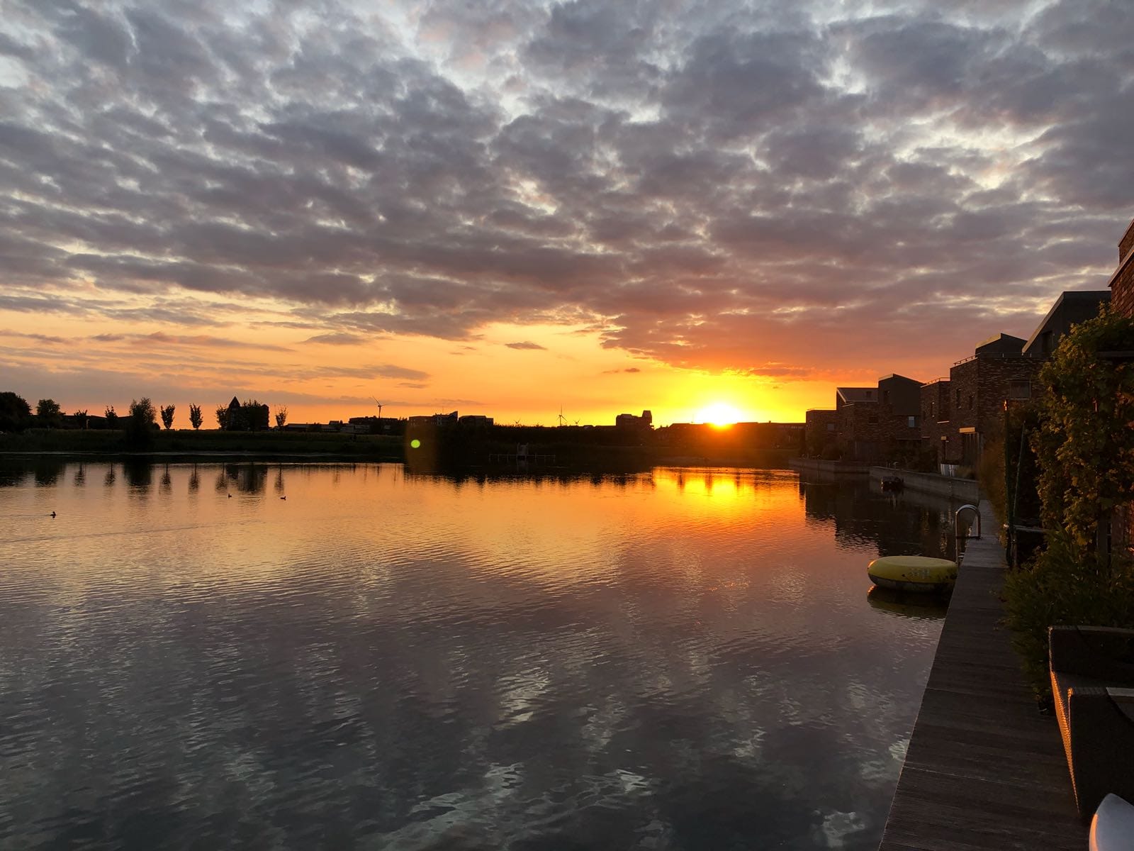 Photo 51 of Rendiermos 6